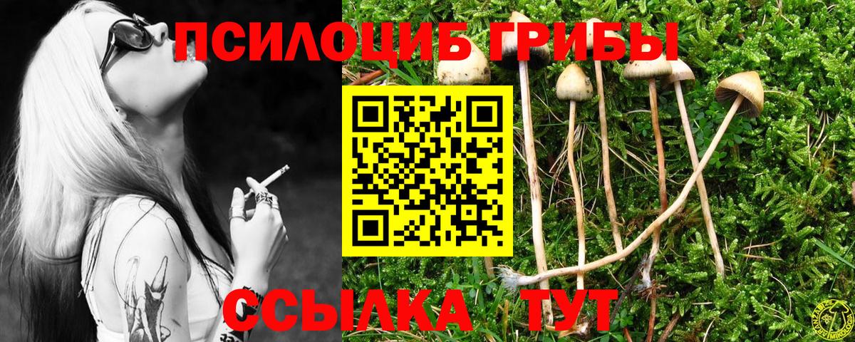 Ярцево  Псилоцибиновые грибы мухоморы  Галлюциногенные грибы Psilocybine cubensis  Вход с VPN 
